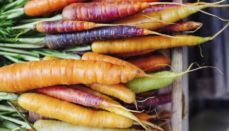 تعرف على فوائد الجزر - تقرير حصري