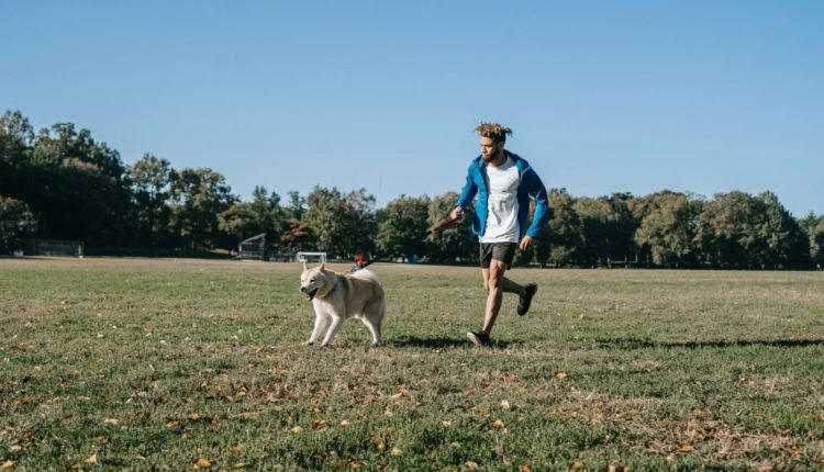 كيف تدرب الكلب؟