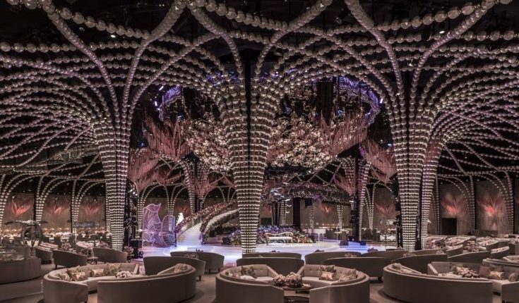 المصورة عائشة عبد العزيز لتصوير عرايس ومناسبات