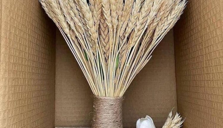 أفضل وأرخص قهوجيات بجدة