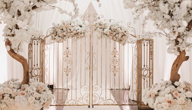 تصوير مطربين في جدة والرياض