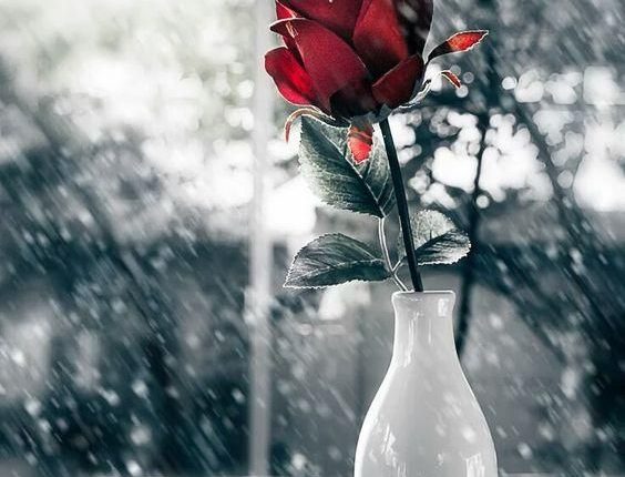 افضل شركة تصوير في جدة