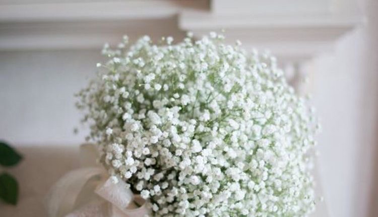 فيصل الفقيه- تصوير عرايس والافراح جدة