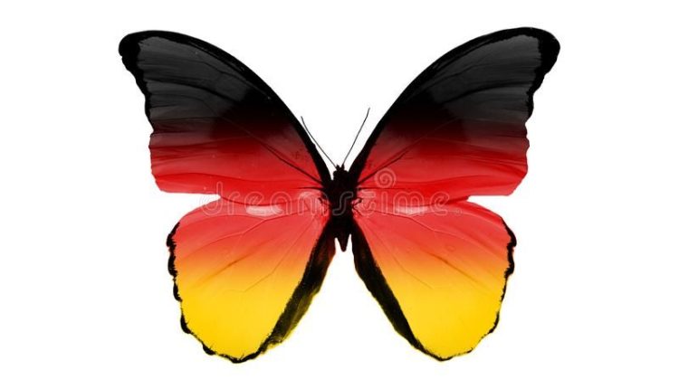 تأمين السيارات في ألمانيا ؛ الفوائد والأنواع والتكلفة.. وافضل شركات التأمين الالمانية | عرب ألمانيا