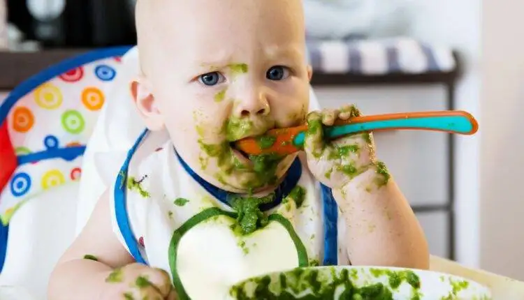 متى يأكل الرضيع وجبته الأولى؟ ما هو أفضل غذاء له؟