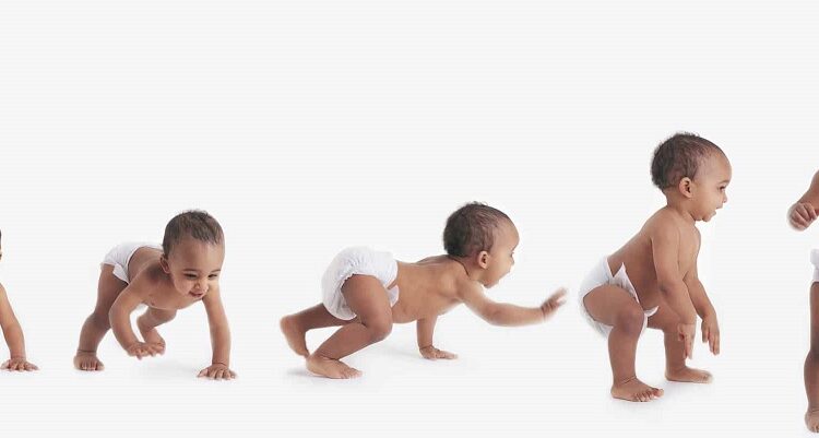 مراحل نمو الرضيع وتطوره من الولادة وحتى سن السنة