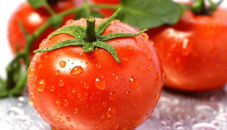 هل الطماطم مسموح بها في الكيتو دايت؟ هل معجون الطماطم مناسب للكيتو؟